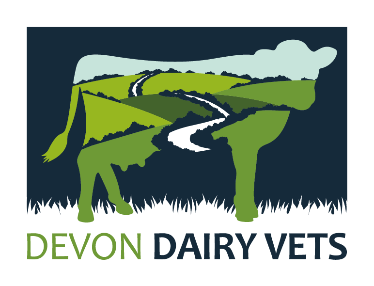 Devon Dairy Vets Farm Vets logo