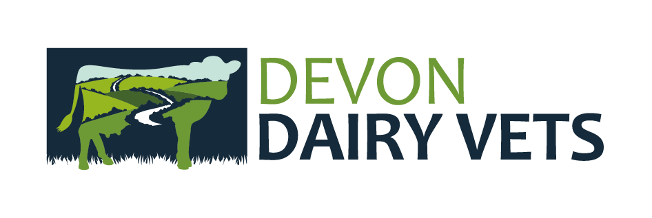 ddv logo screen 11