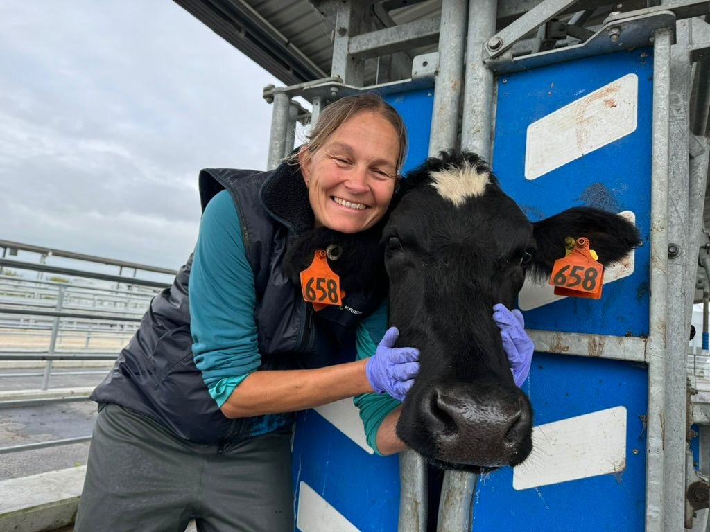 Devon Dairy Farm Vets