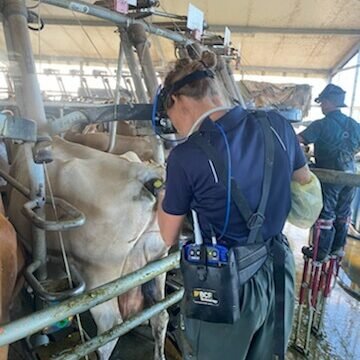 pregnancy scanning rotary Devon Dairy Vets pregnancy scanning rotary Devon Dairy Vets Devon Farm Vets