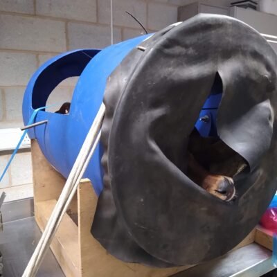 calving course simulator calving course simulator Devon Farm Dairy Vets